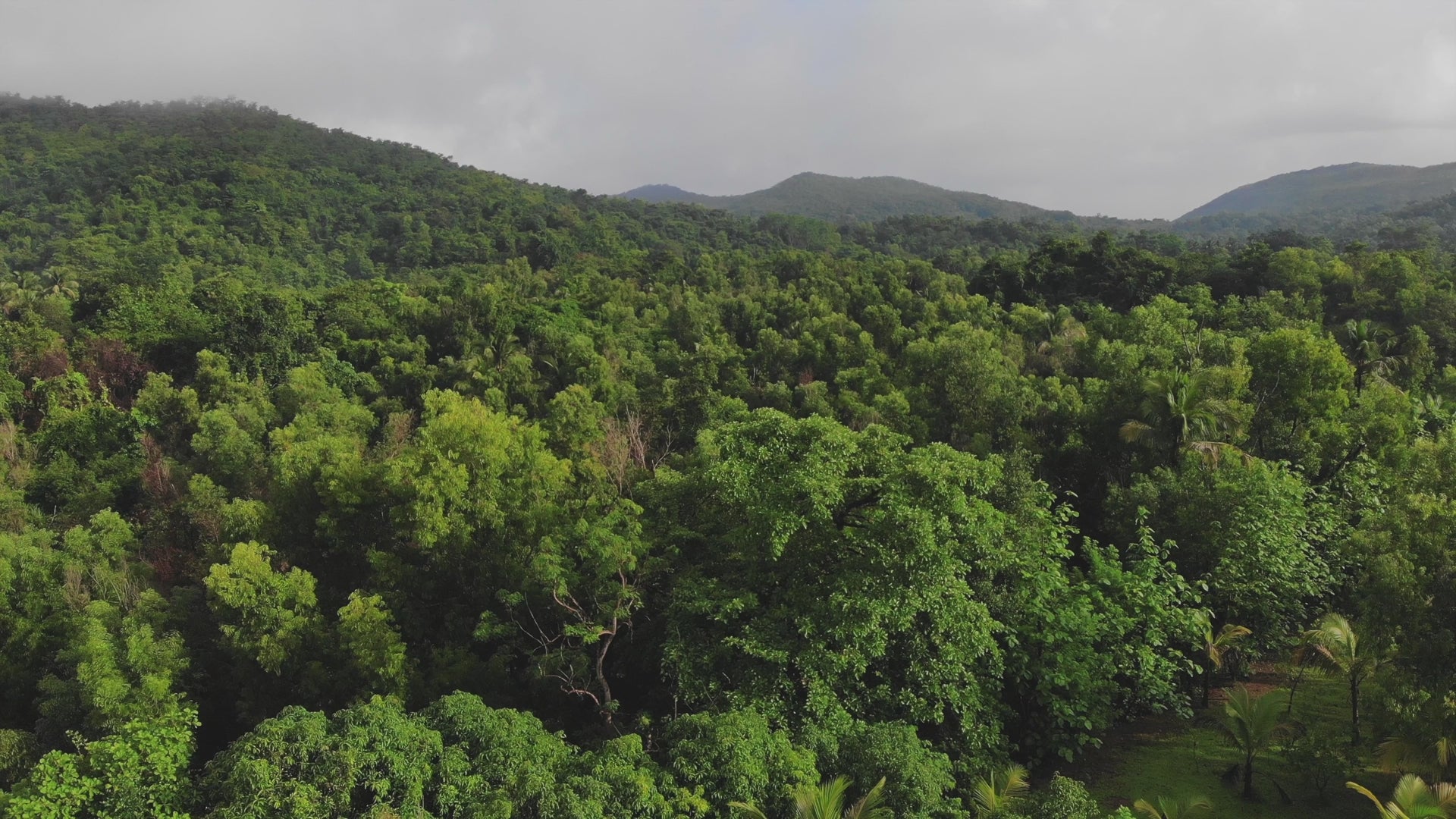 Native Earth Project showing connection between land, communities, and sustainable practices