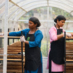 Tulsi & Turmeric
