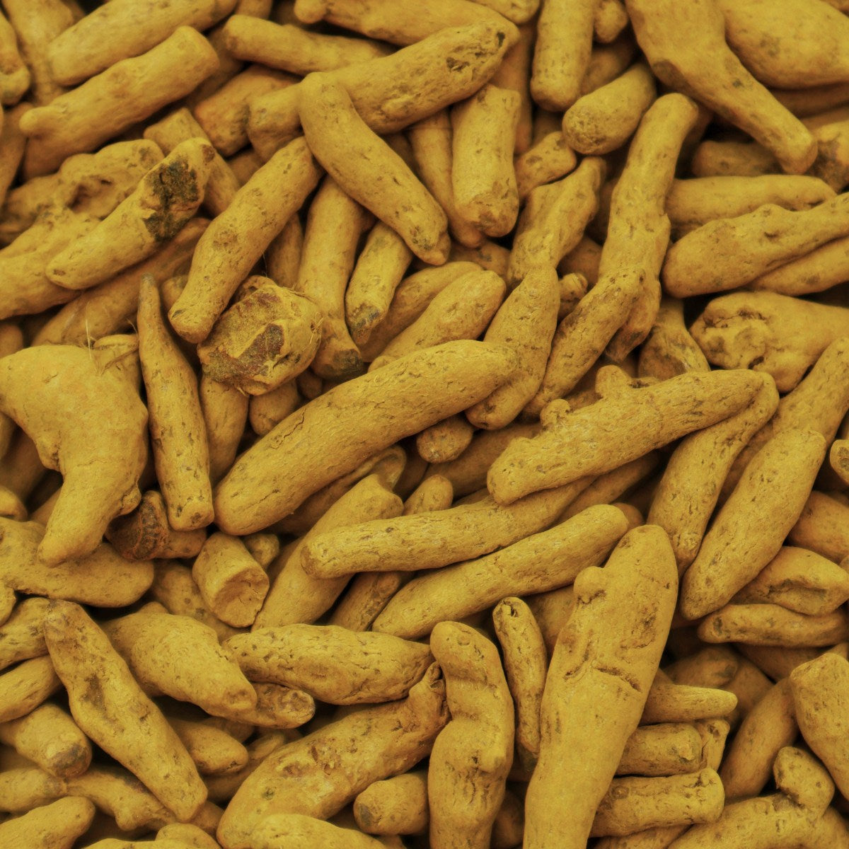 Tulsi & Turmeric