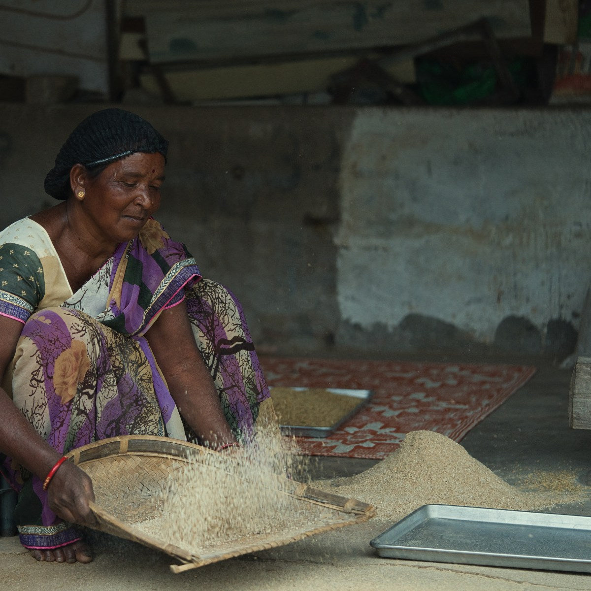 Balanced Sattu